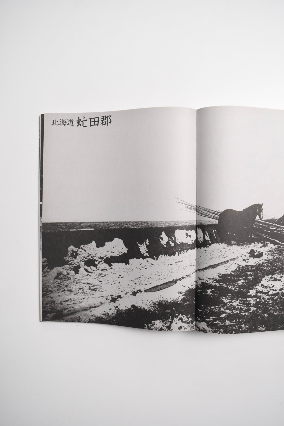 DAIDO MORIYAMA SHASHIN JIDAI 1981–1988