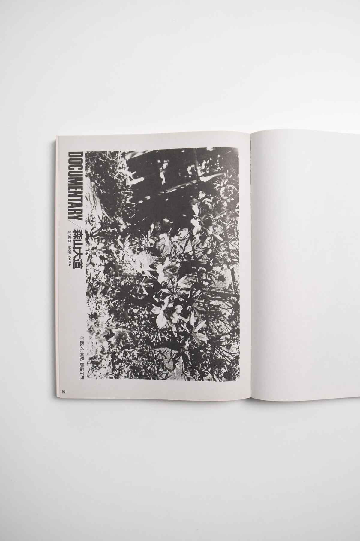 DAIDO MORIYAMA SHASHIN JIDAI 1981–1988