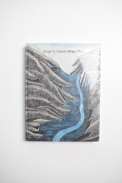 WHAT I SAW by Joseph E. Yoakum