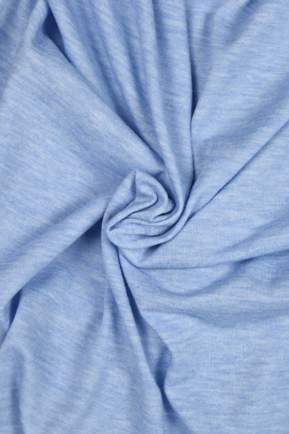 Blue Stripe Long-sleeve Top