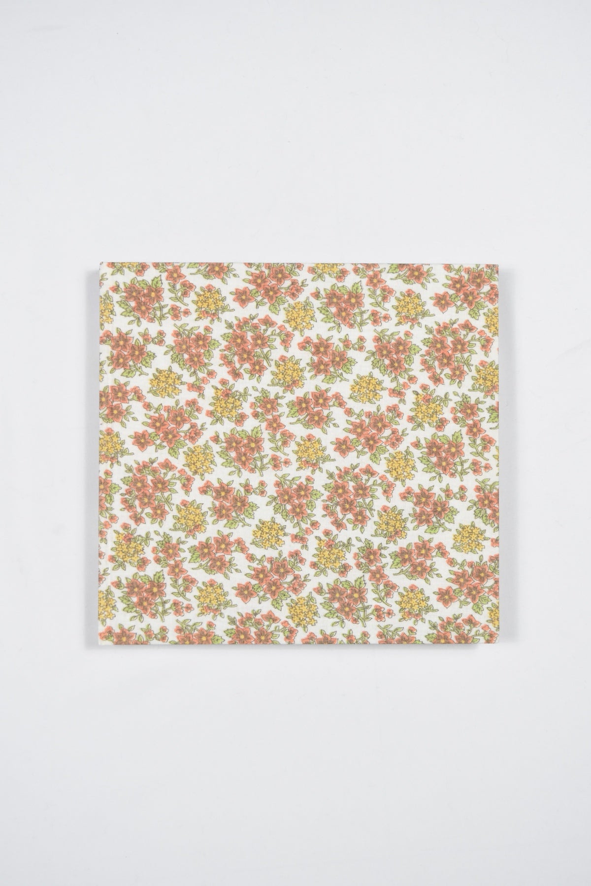 STONE SOUP by Eric Ruby[First Edition]