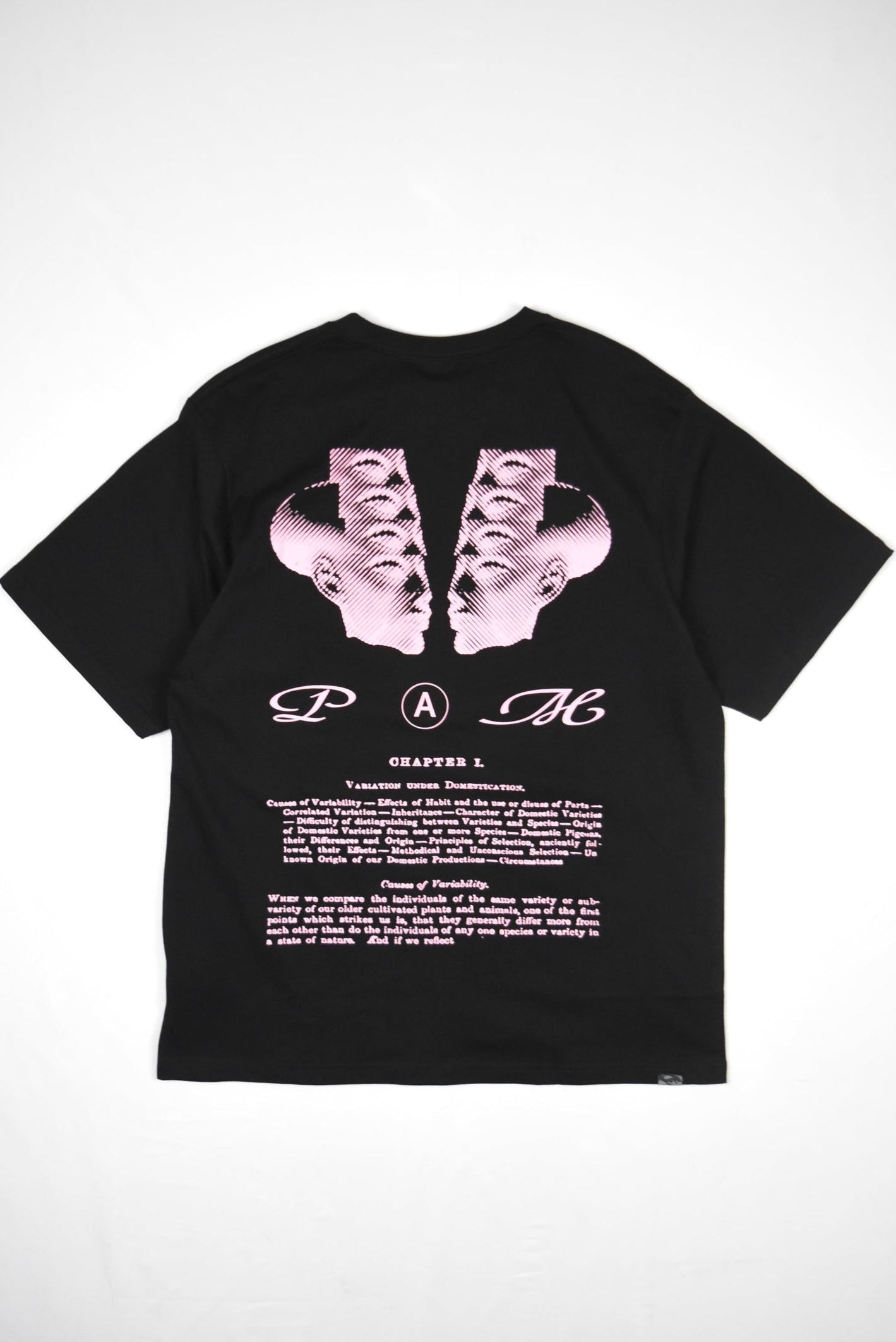 SS TEE - FAIRLIGHT